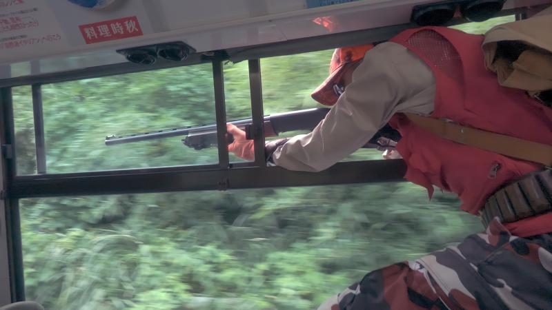 Welcome to the Occult Woods