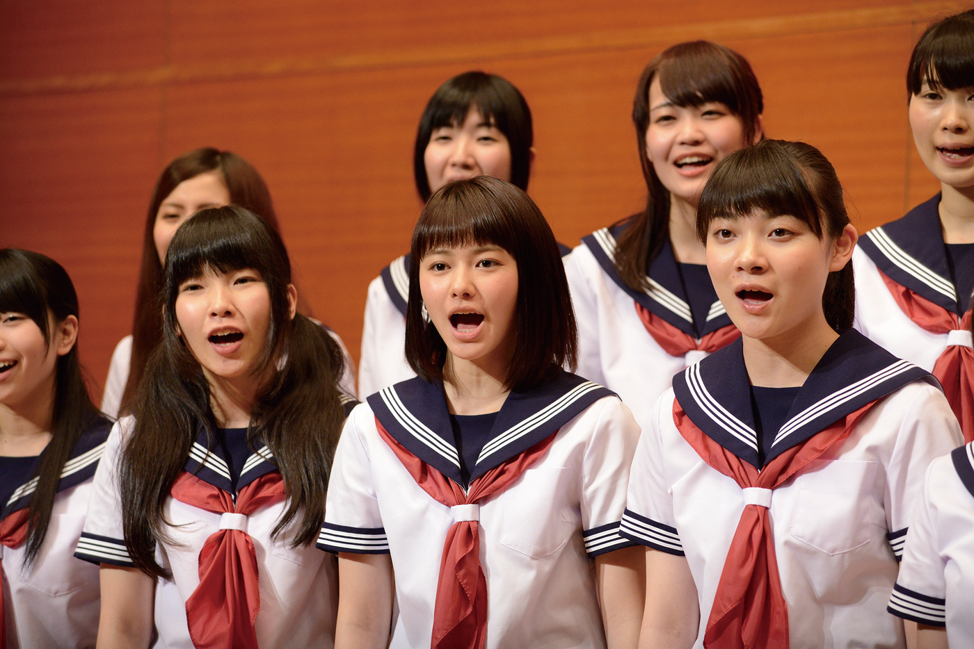 Cherry Blossom Memories Image