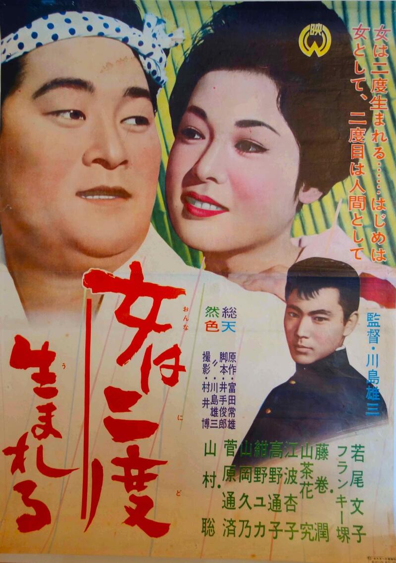 A Geisha's Diary Image