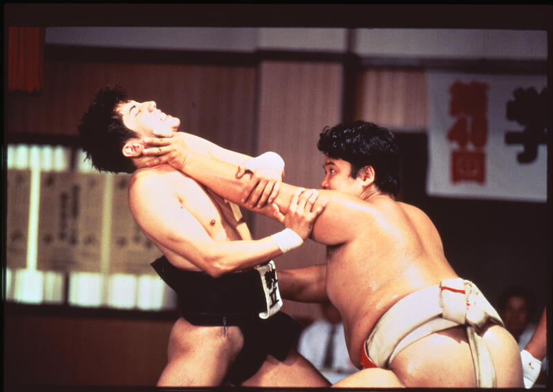 SUMO DO, SUMO DON'T Image