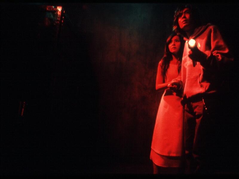 ST. JOHN'S WORT Image