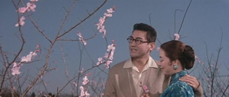 THE WANDERING PRINCESS Image