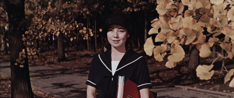 THE WANDERING PRINCESS Image