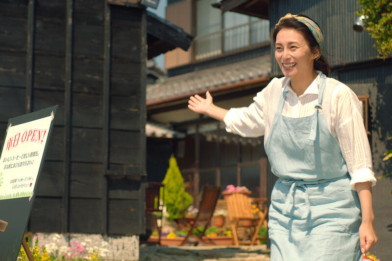 The Island of Cats Image